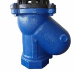 Ball Type Foot Valve 4"