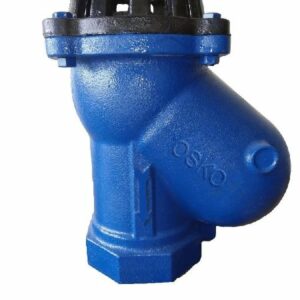 Ball Type Foot Valve 4"