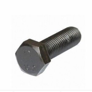 Tvs Bolt M30x10mm