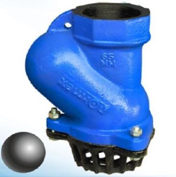 Ball Type Foot Valve 2