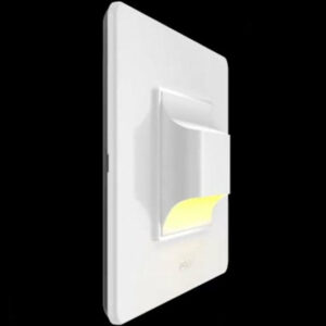 Gm Step Light 2Module