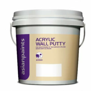 Asian Paints ACR Wall Putty Paste White 1 Kg