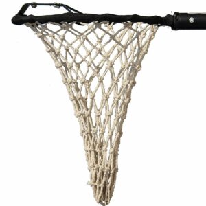Mango Catcher