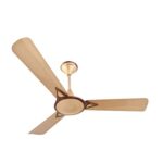 CG Celling Fan Avancer Prime Anti dust Bakers Brown 1050/120