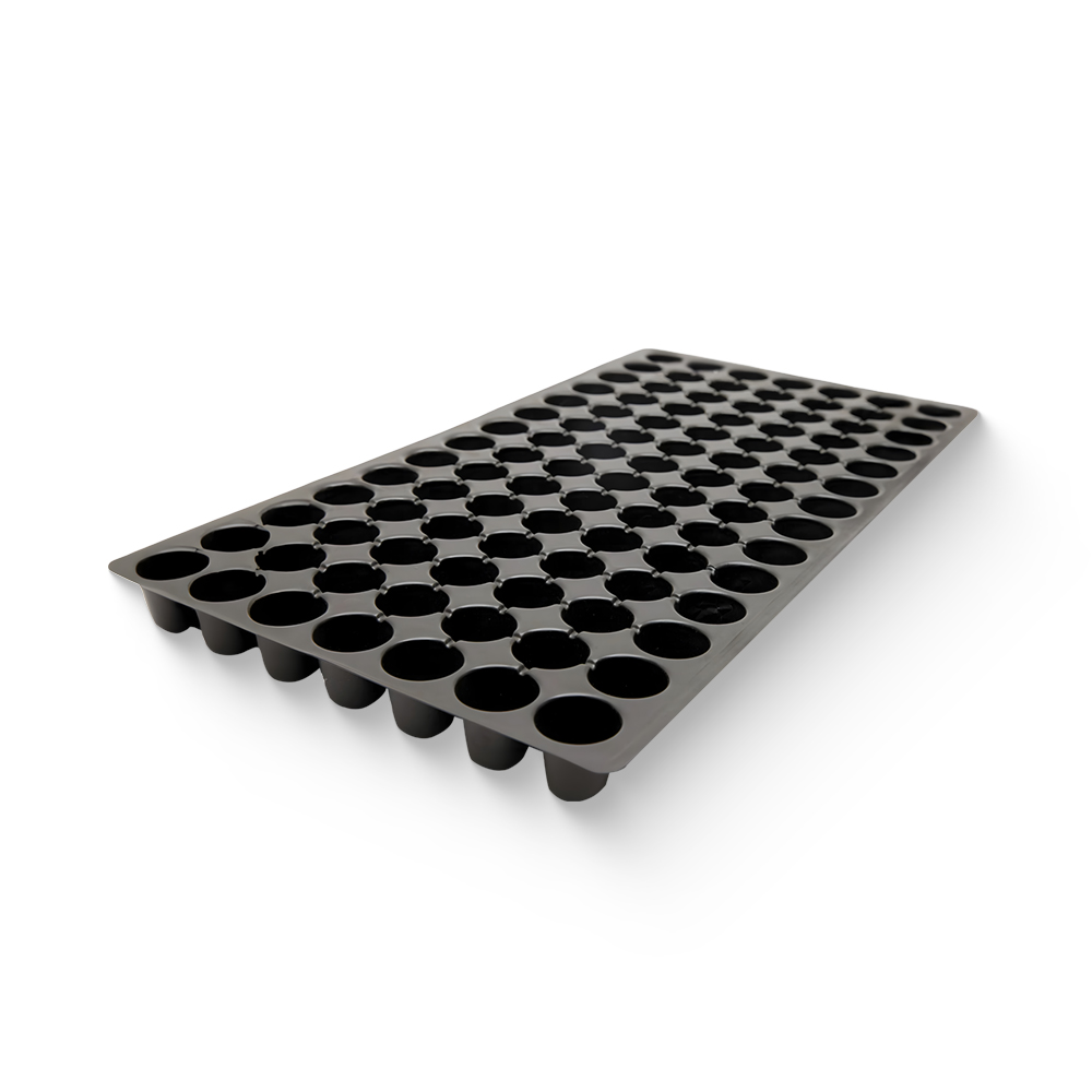 981